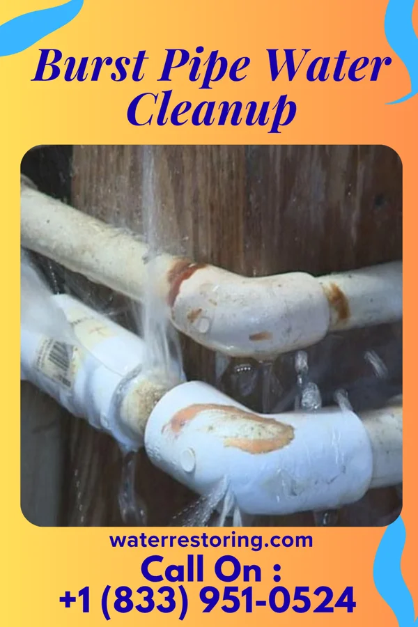 Burst Pipe Water Cleanup in Bellbrook, OH