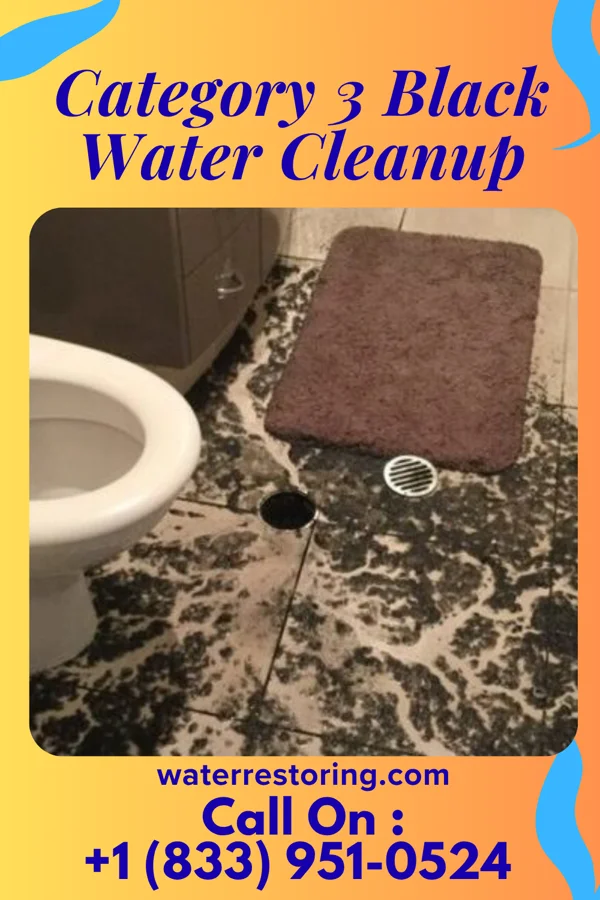 Category 3 Black Water Cleanup in Bellbrook, OH