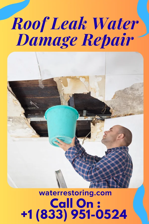 Roof Leak Water Damage Repair in Bellbrook, OH