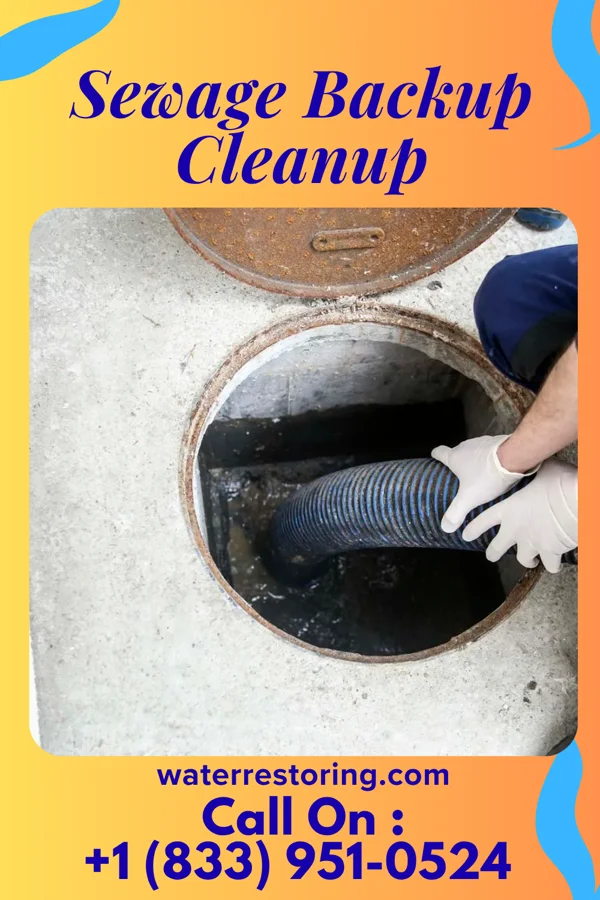 Sewage Backup Cleanup in Bellbrook, OH