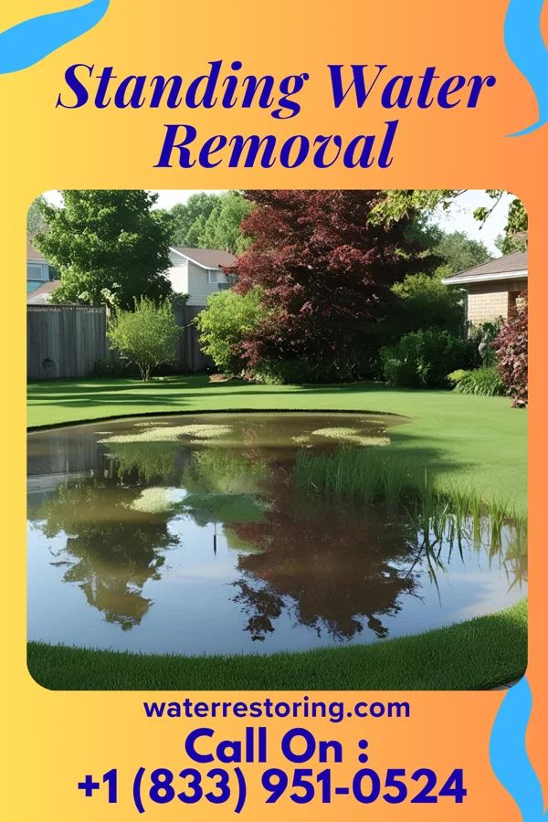 Standing Water Removal in Bellbrook, OH